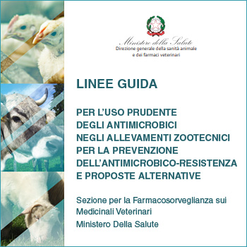 Linee Guida Ministeriali Sull’uso Appropriato Degli Antimicrobici